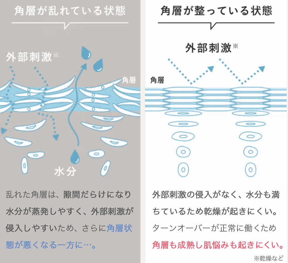 ディセンシアO/L