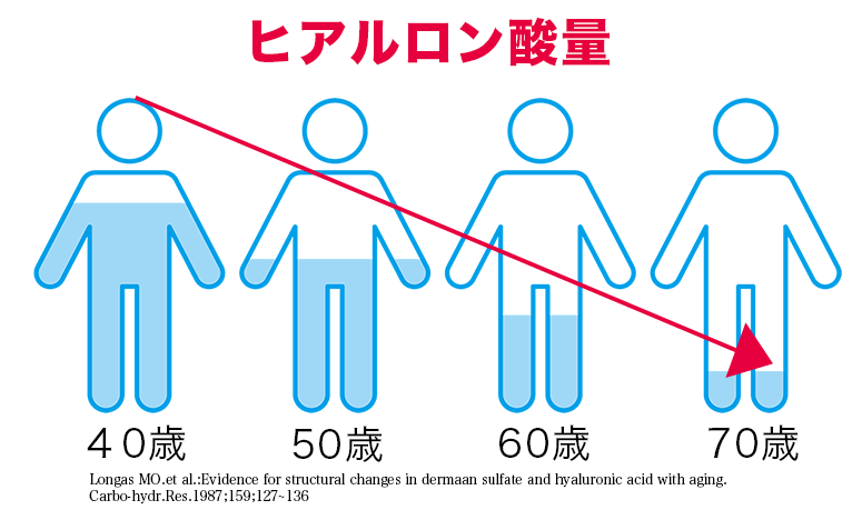 ヒアロモイスチャー240
