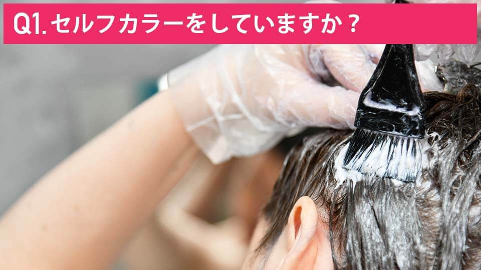 カラリス 質問1