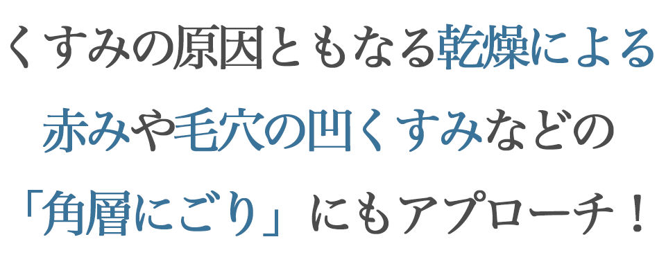 ディセンシアFL