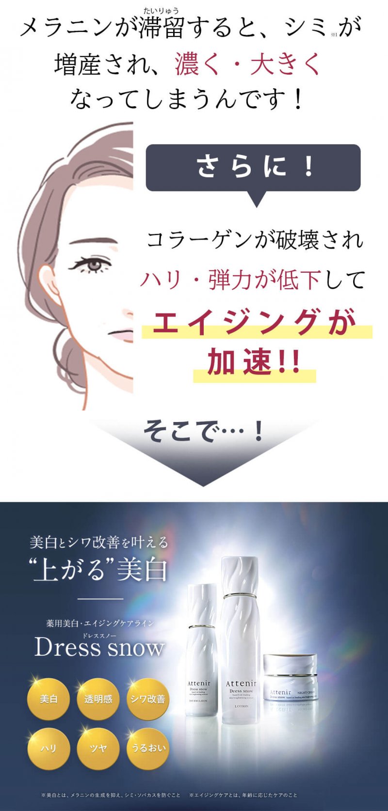 ドレススノー14日　補足