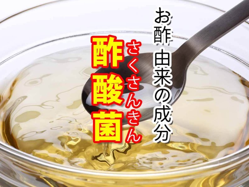 ディアレ　酢酸菌