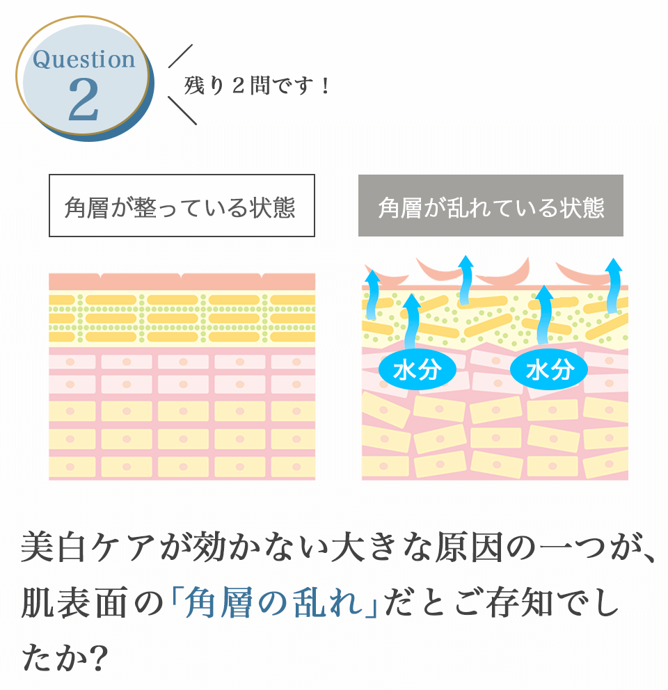 ディセンシアFL