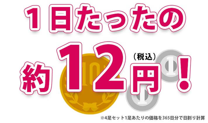 ピットソール　1日換算