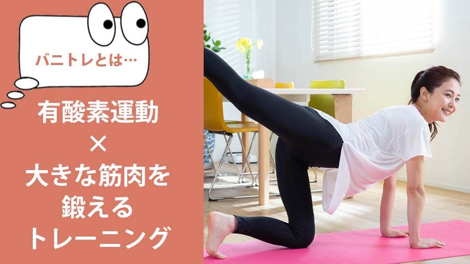 スリムレギンス　バニトレとは