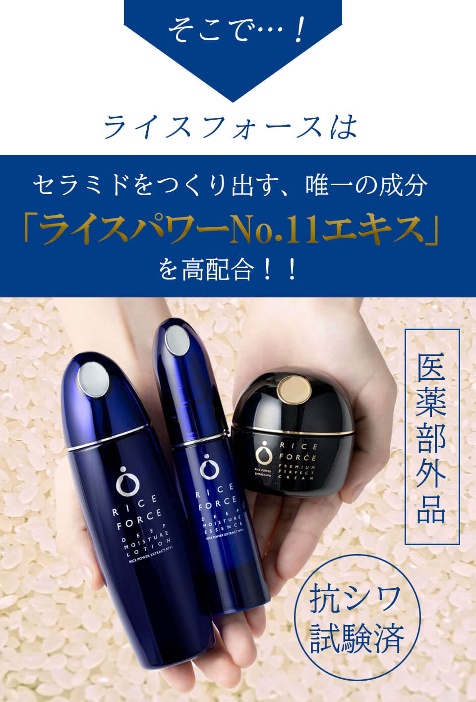 ライスフォース　そこでライスパワー