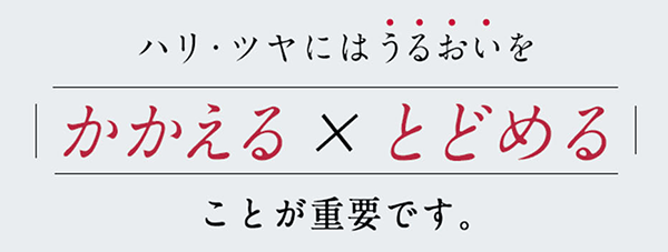 アスタリフトベーシック　かかえる　とどめる