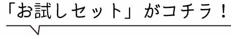 プリマモイスト　お試しセット