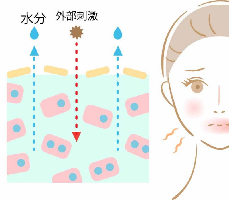 プリマモイスト　乾燥