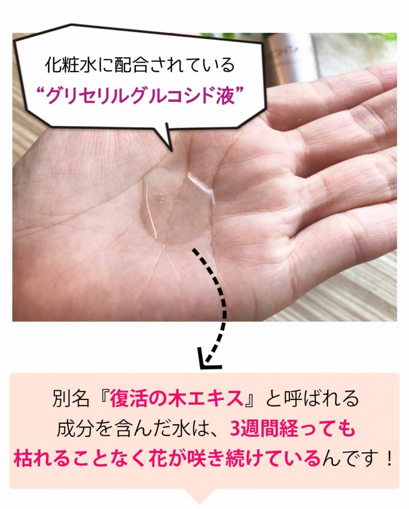 ブライトエイジ　復活の木