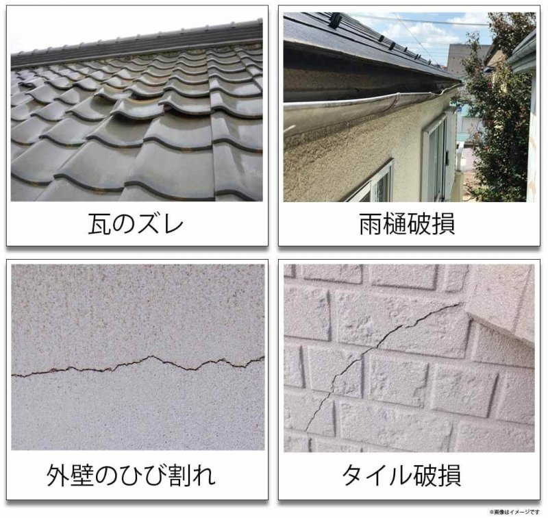 ホームアリー　調査結果