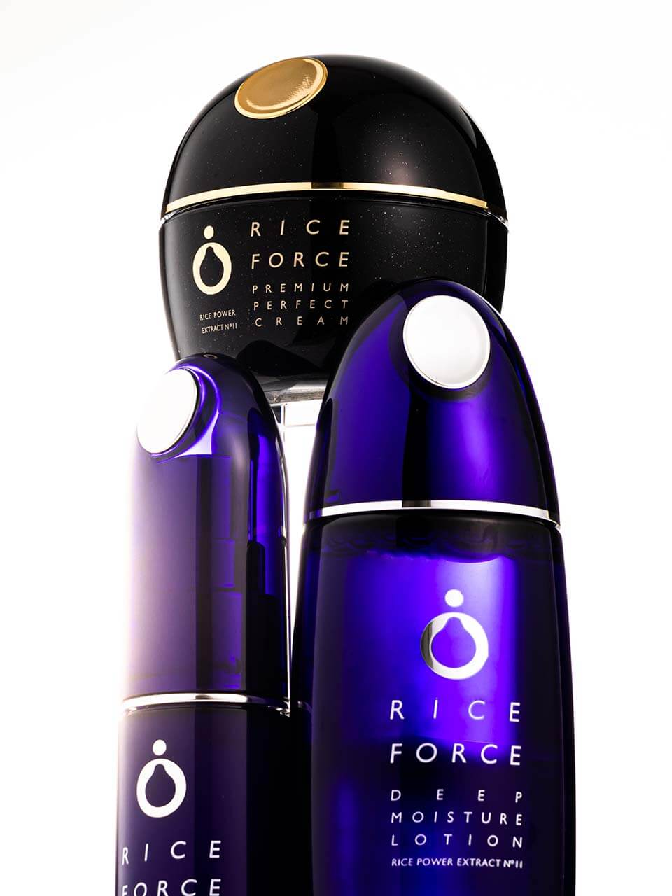 ライスフォース　FV